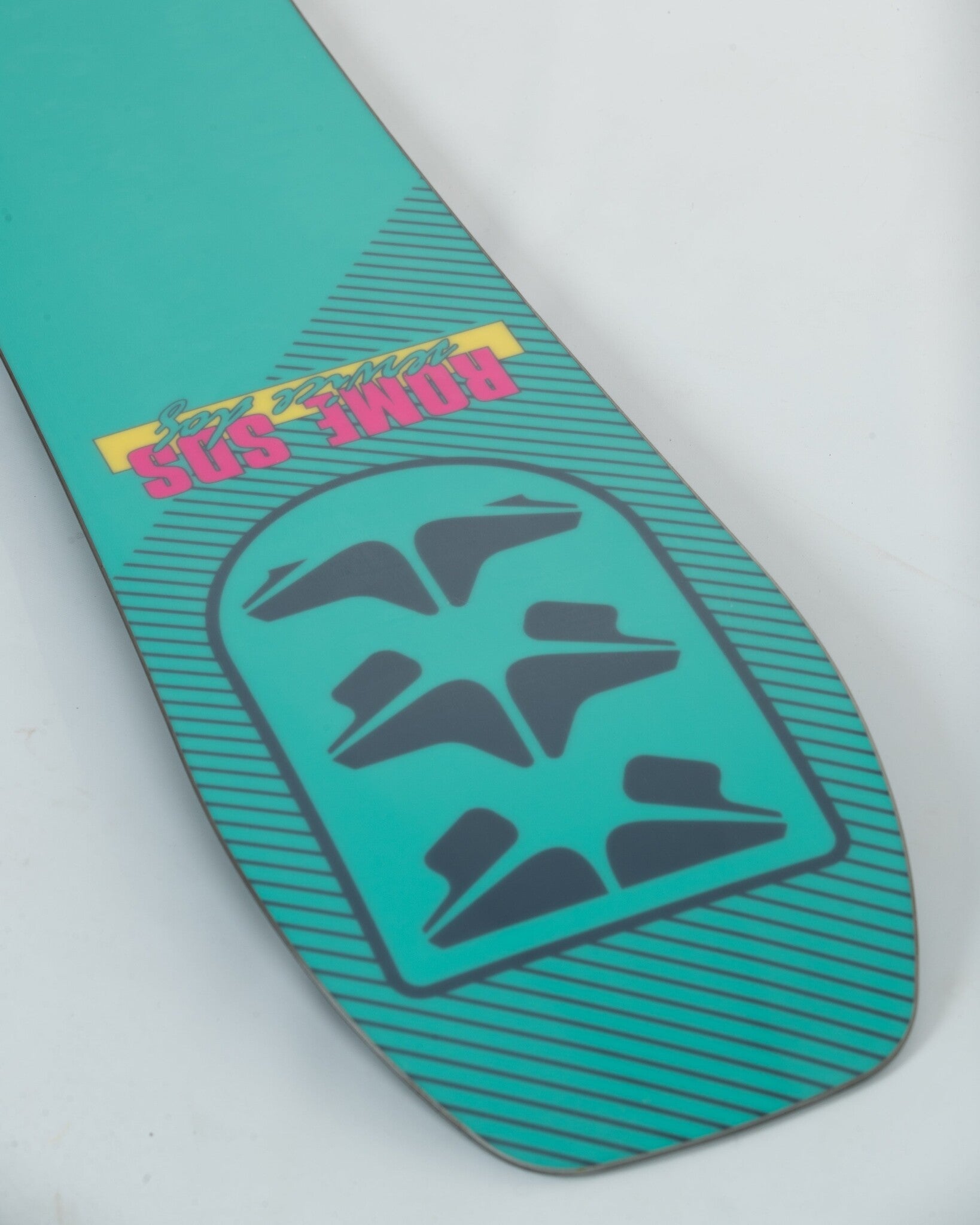 Service Dog Snowboard