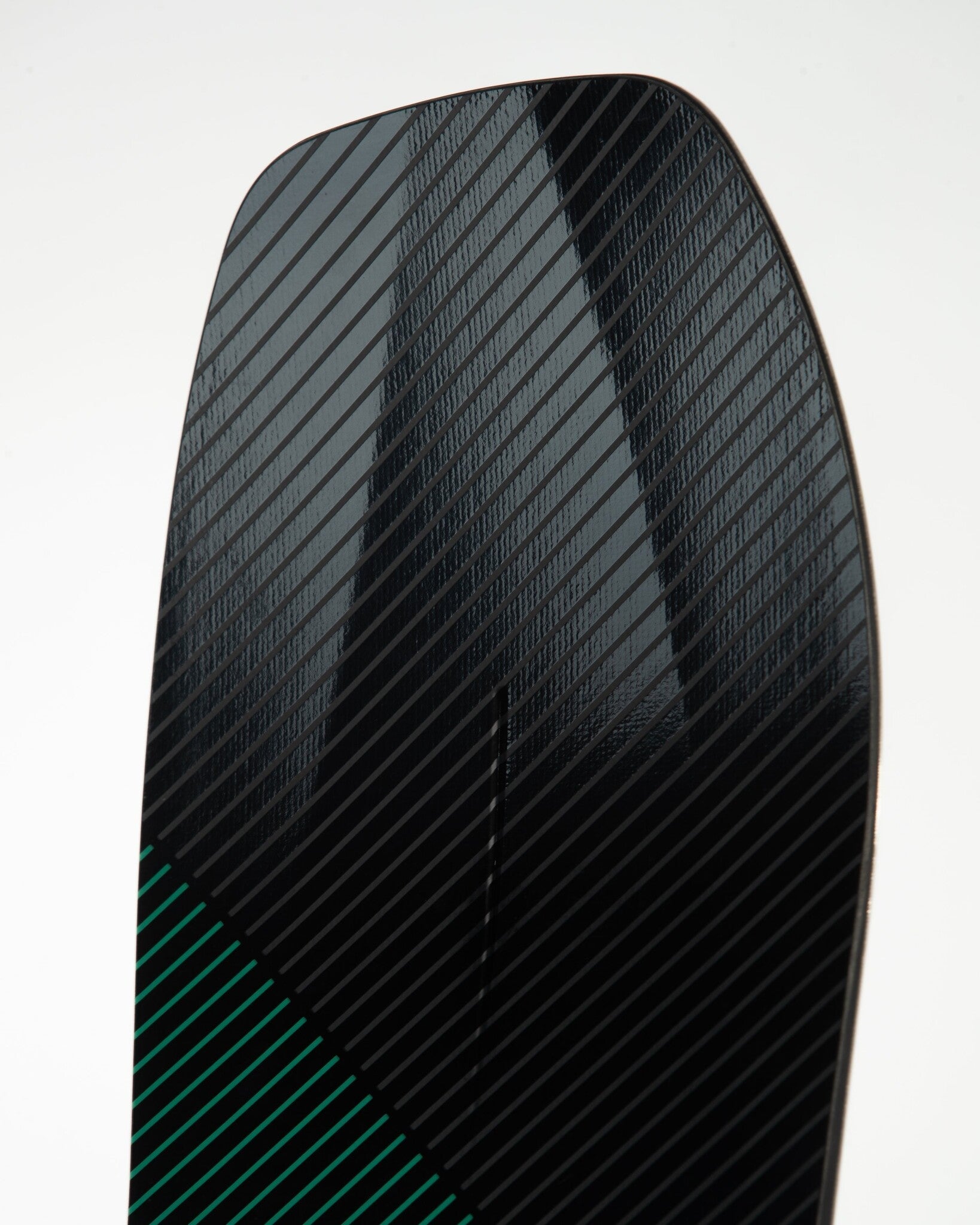 Service Dog Snowboard