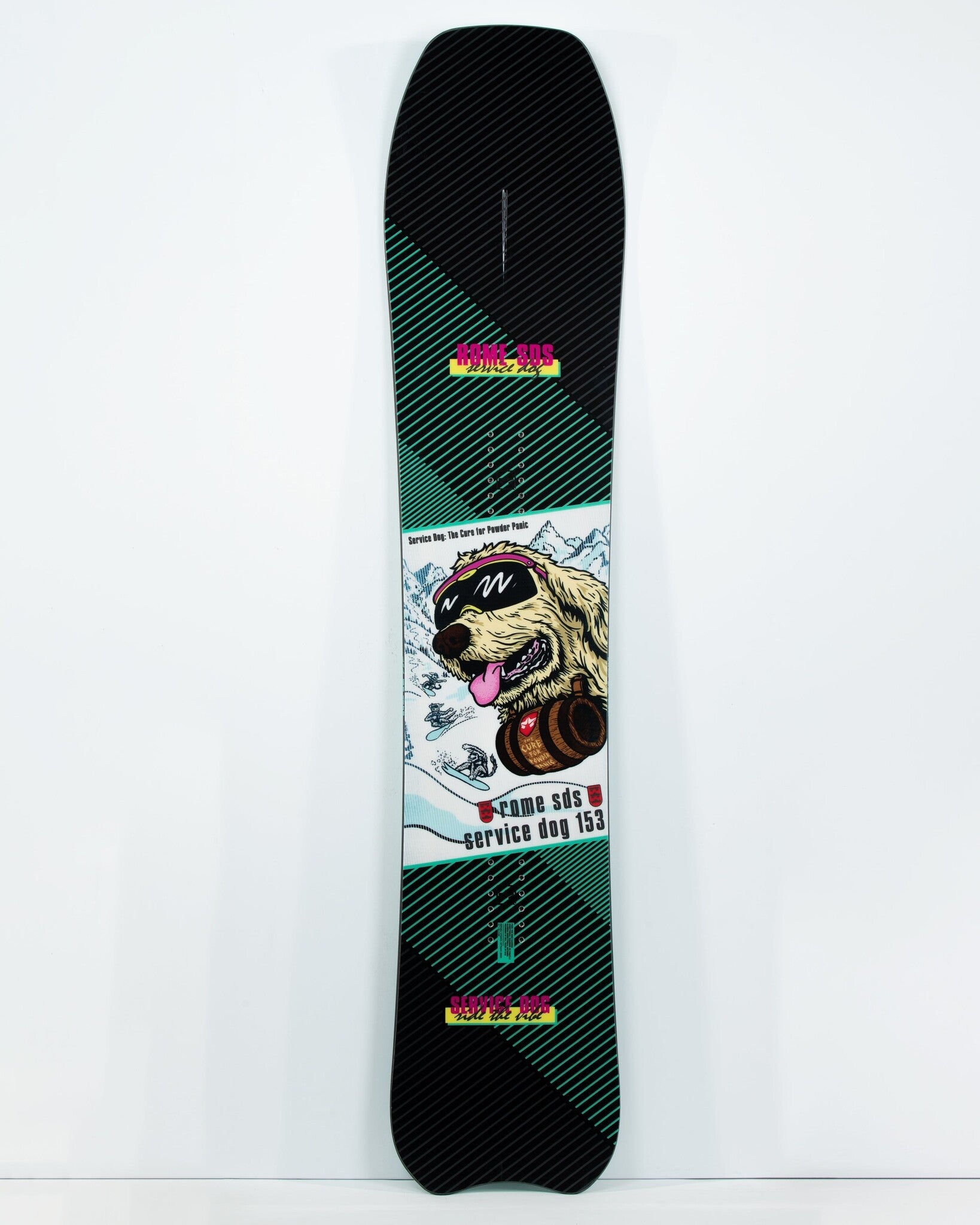 Service Dog Snowboard
