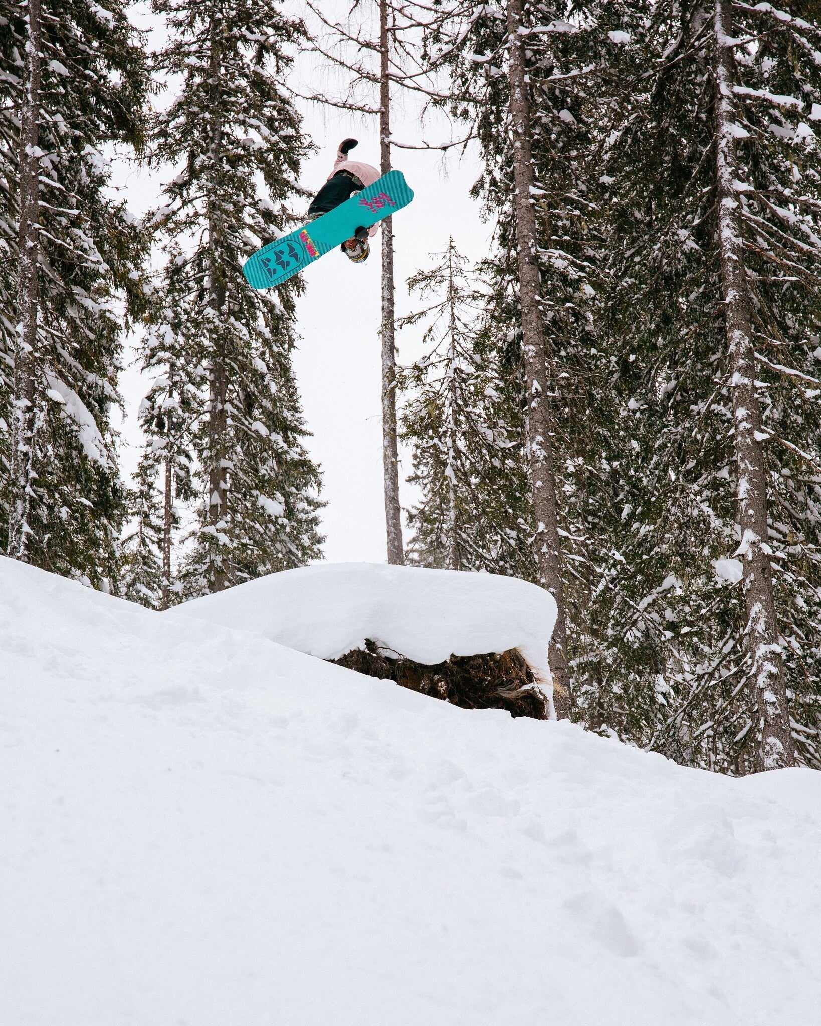 Service Dog Snowboard