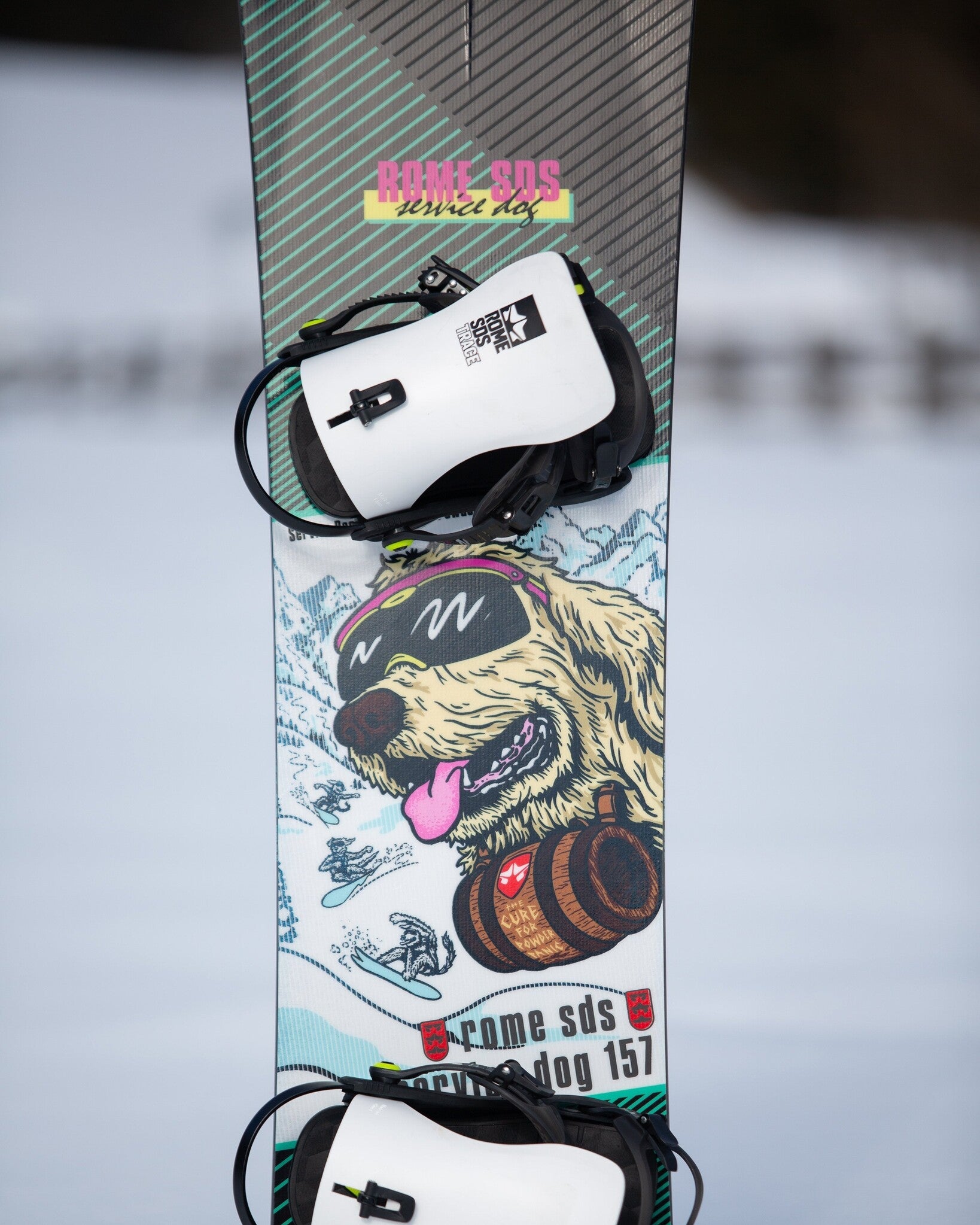 Service Dog Snowboard