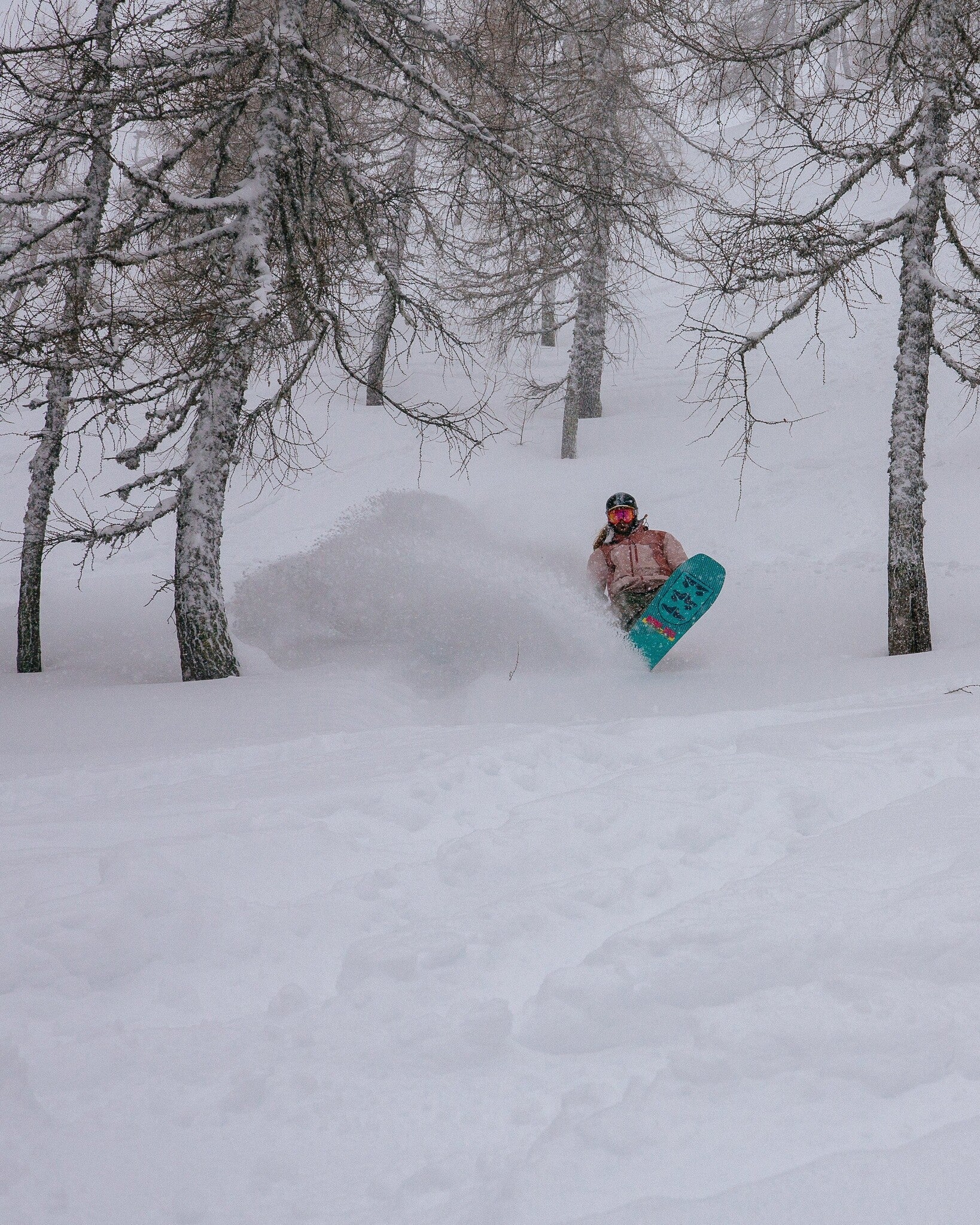 Service Dog Snowboard