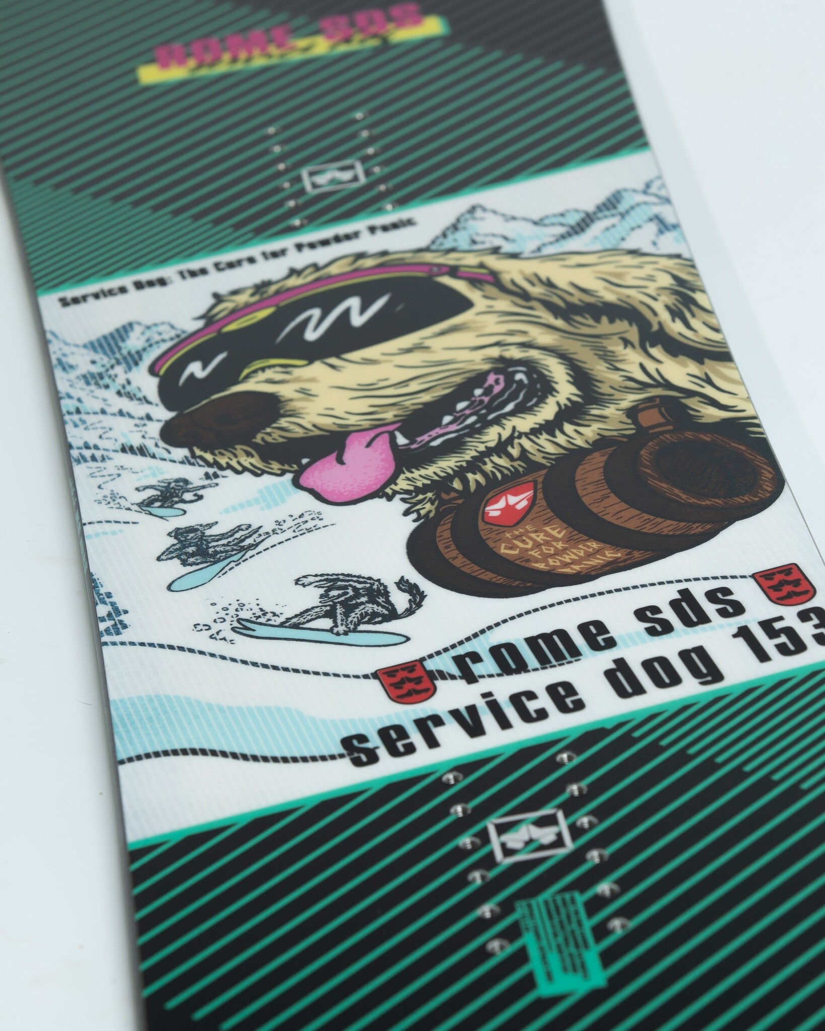 Service Dog Snowboard
