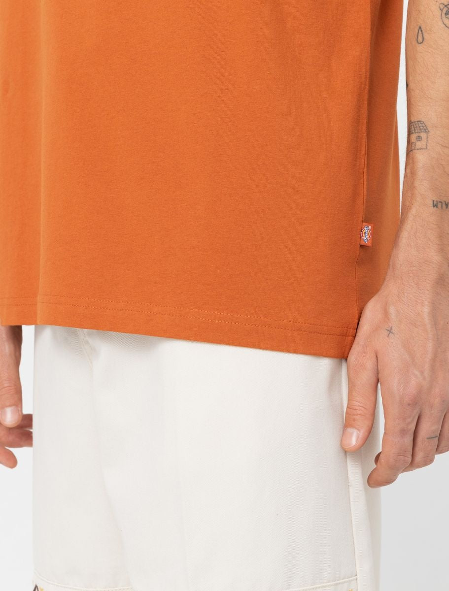 Summerdale S/S T-Shirt Bombay Brown