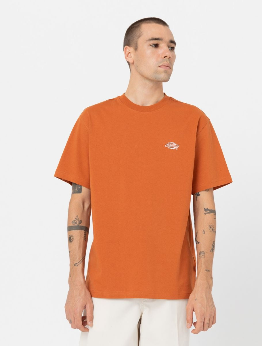 Summerdale S/S T-Shirt Bombay Brown