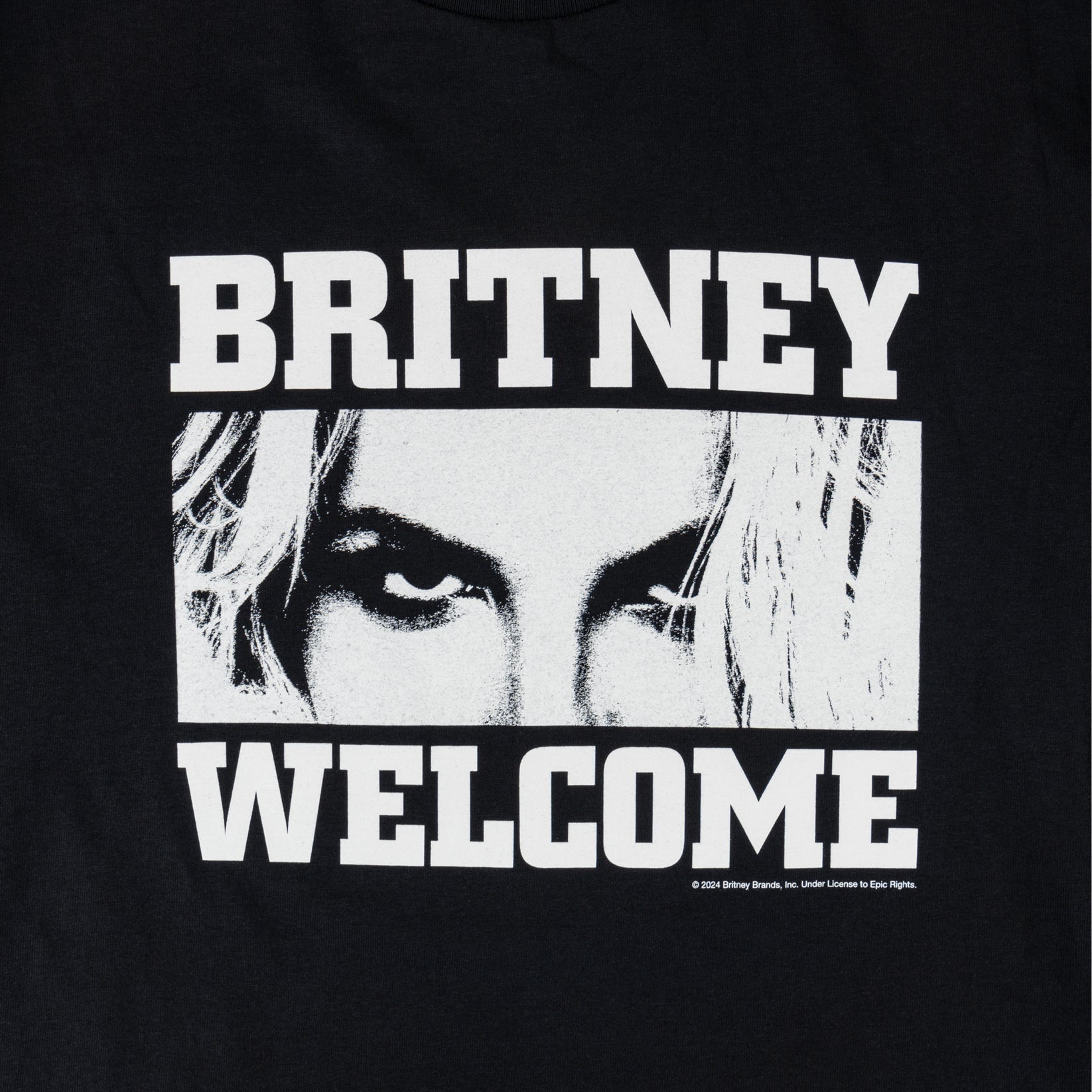 X Britney Spear Till The World Ends
