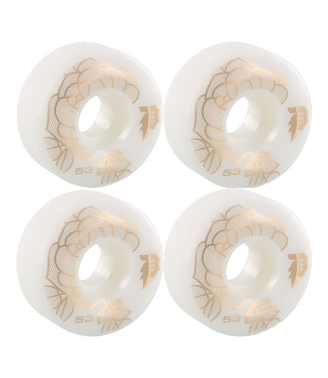 Rosa Team Wheel Gold 53MM